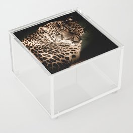 Leopard Acrylic Box