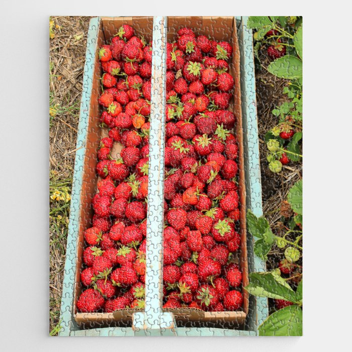 Strawberry Picking Jigsaw Puzzle