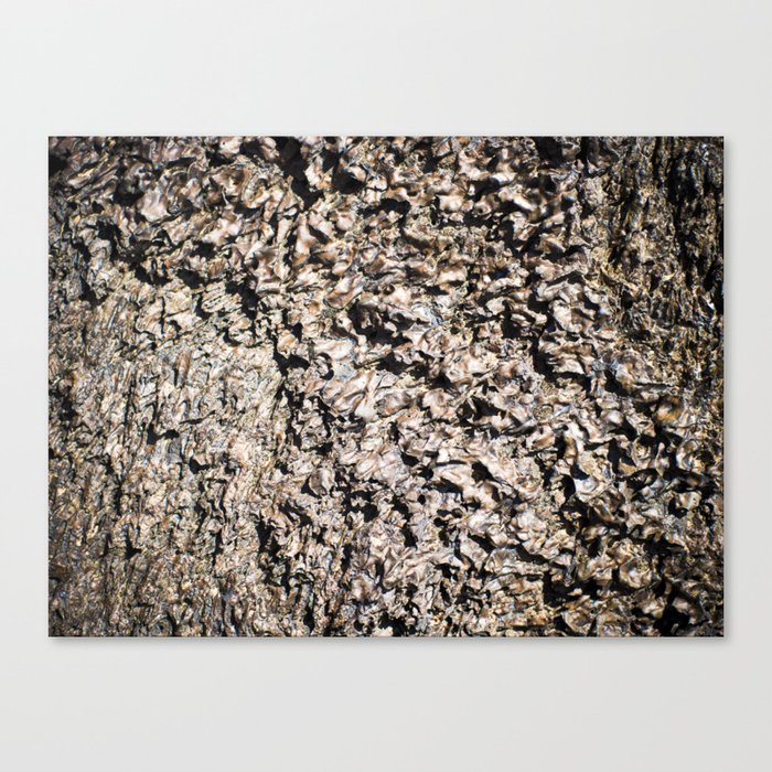 Martian Surface Canvas Print