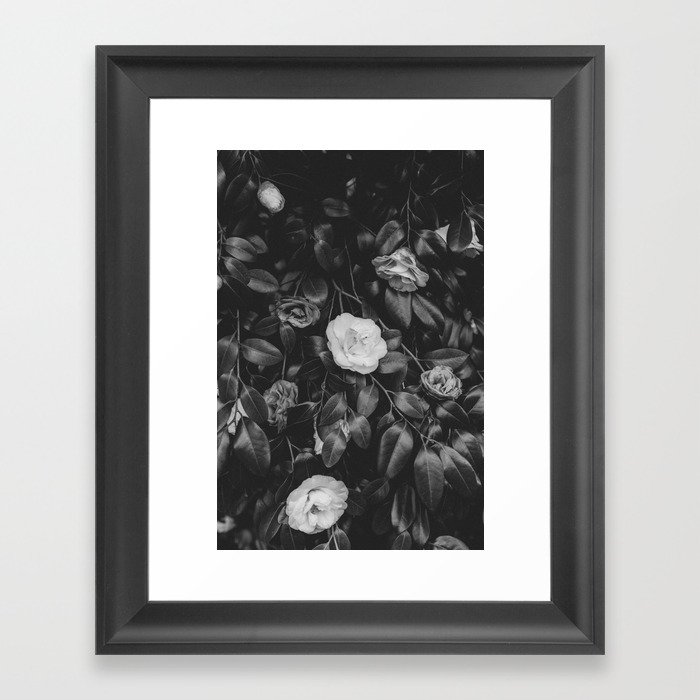 Camellias No. 23 Framed Art Print