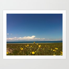wildflower Art Print | Nature, Landscape, Photo 