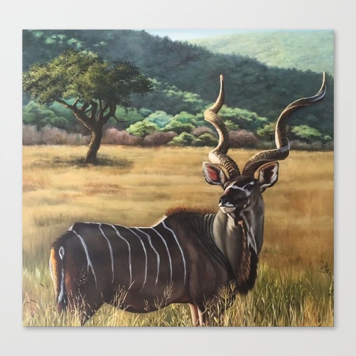 Kudu Canvas Print