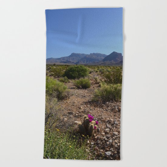 Painted Desert - V Beach Towel