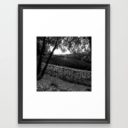 Vineyard in California Black & White Pencil Drawing Photo Framed Art Print | Vineyardsincalifornia, Framedartprints, Hatching, Harvest, Contemporary, Black and White, Artprints, Graphicdesign, Digital, Popart 