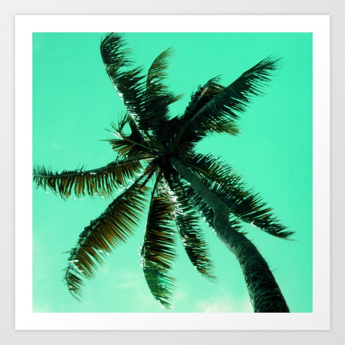 Palm Tree In Lime Green Sky Art Photo Art Print