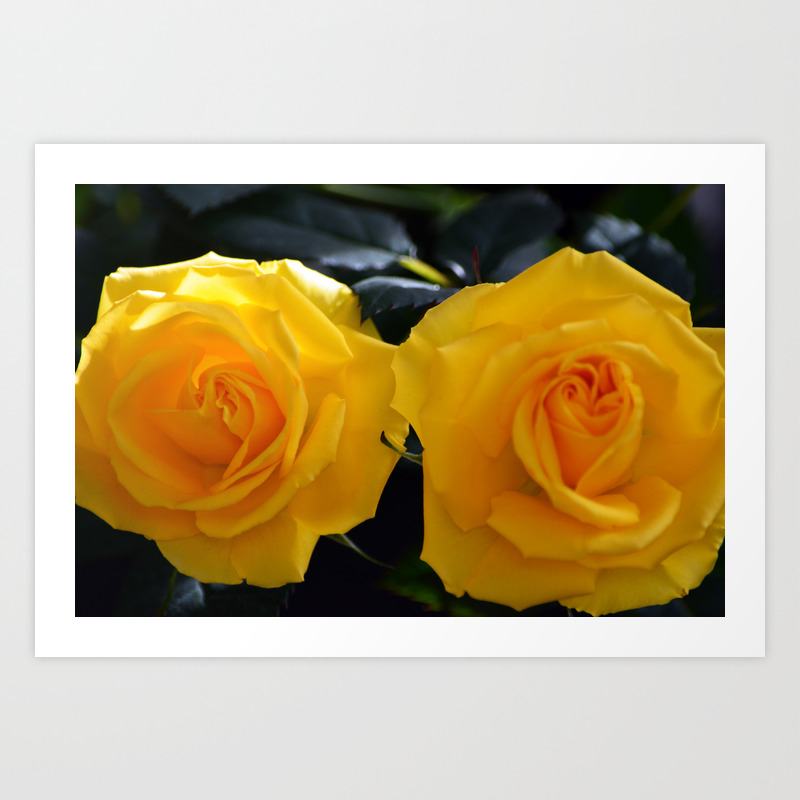 Featured image of post Beautiful Yellow Rose Flowers Images / Bouquet flowers of roses in glass vase.