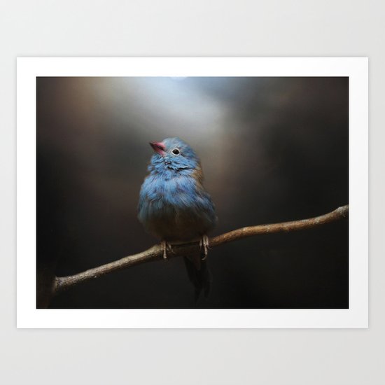 Believe! Art Print