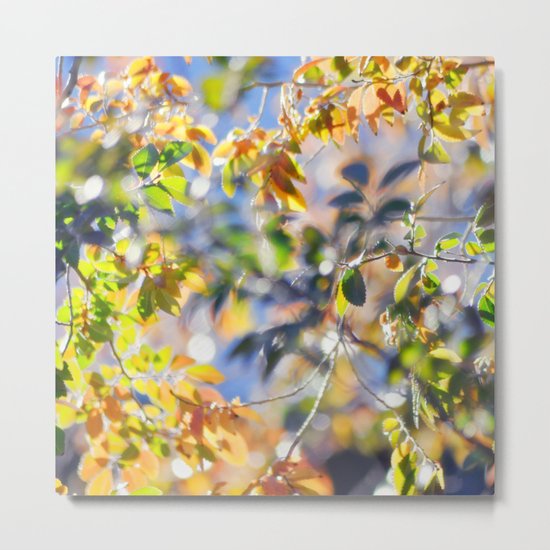 Changes Metal Print