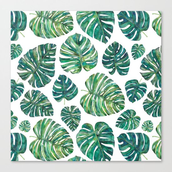 Tropical Leaves Canvas Print