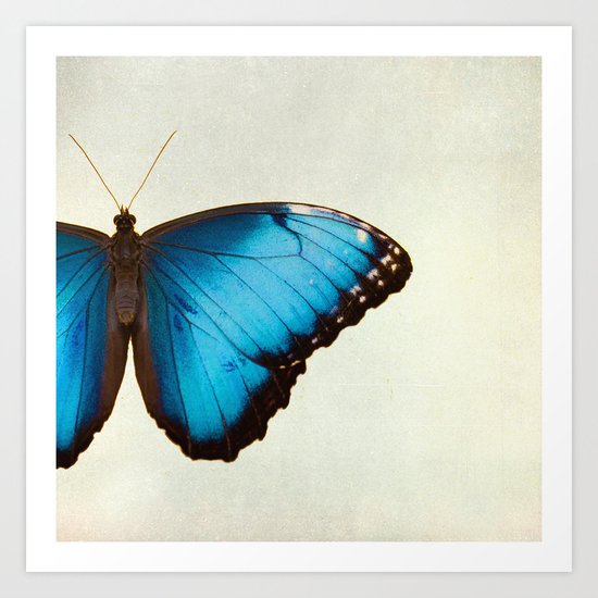 Morpho Art Print