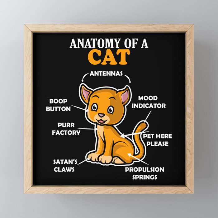 Anatomy Of A Cat Framed Mini Art Print