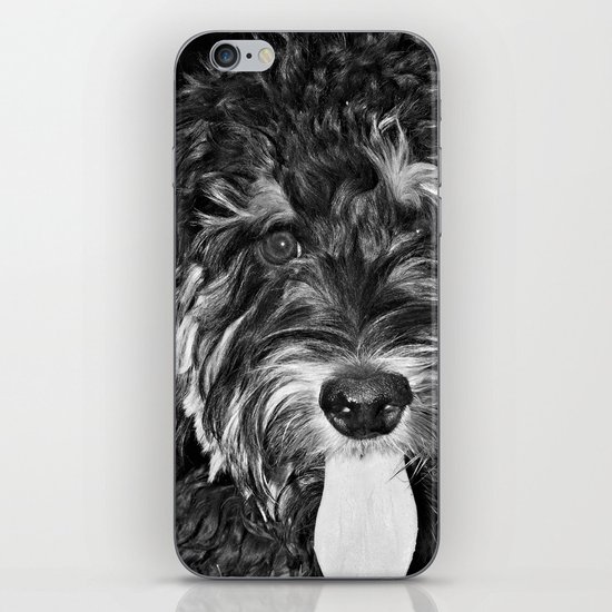 Scout... iPhone & iPod Skin