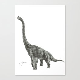 Brachiosaurus (White) Canvas Print