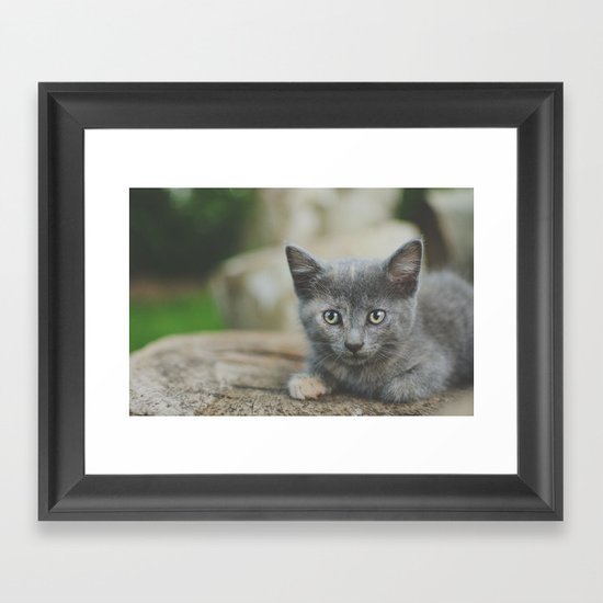 Cat Framed Art Print
