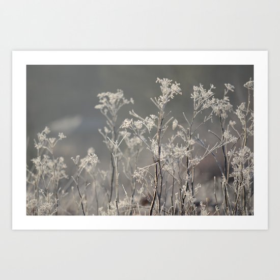 Ready For The Sun Art Print