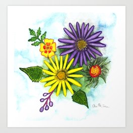 Aster Flowers Art Print | Watercolour, Marigold, Purple, Violeta, Texas, Aquarelle, Flowers, Aster, Northtexas, Amarillo 