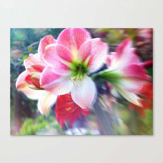 Atmospheric Amaryllis Canvas Print