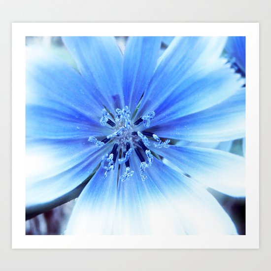 Center Art Print