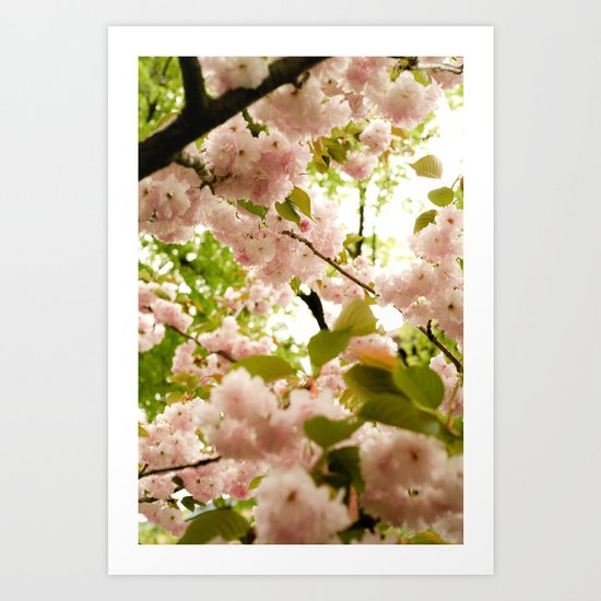 May Flowers Art Print