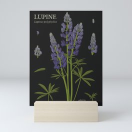 Botanical Lupine (Black) Mini Art Print