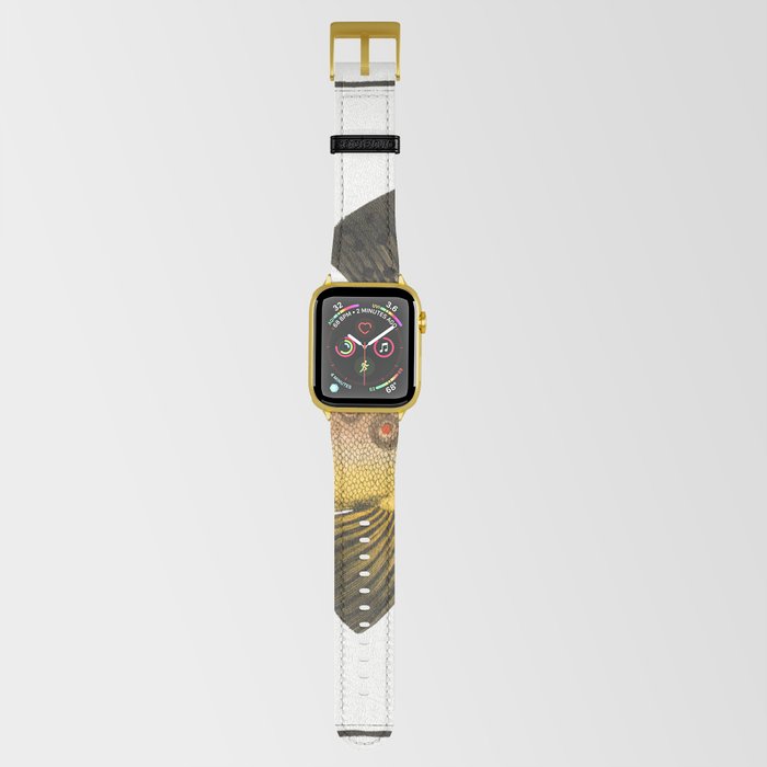 Apple store watch theft