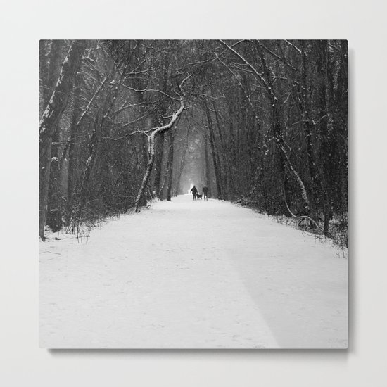 Snow White Morning Metal Print