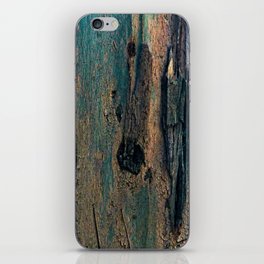 Eucalyptus Tree Bark and Wood Abstract Natural Texture 61 iPhone Skin