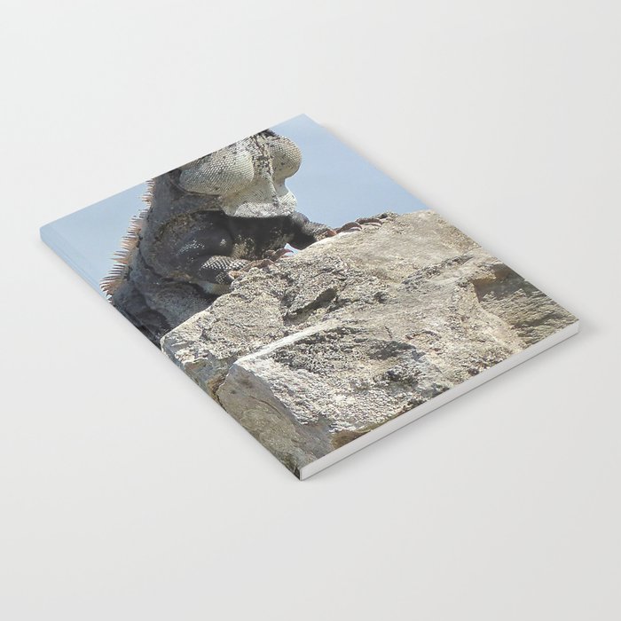 Mexico Photography - Majestic Iguana Standing On Rocks Notebook