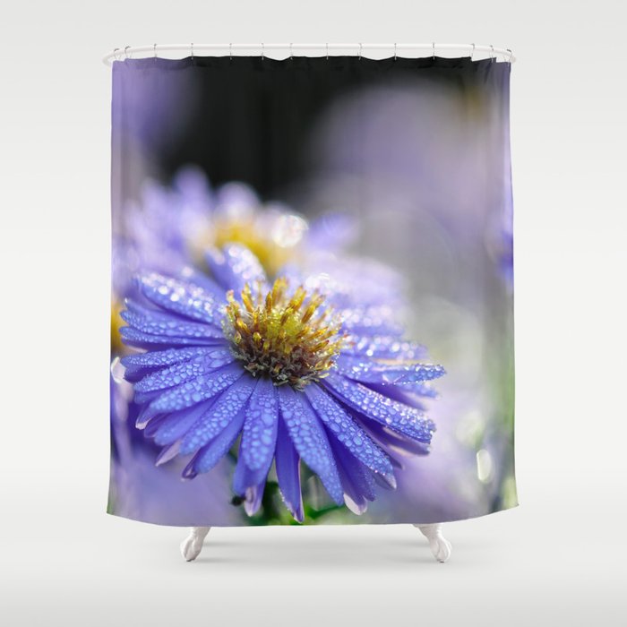 Sparkling Very Peri Daisy Aster Flower Shower Curtain