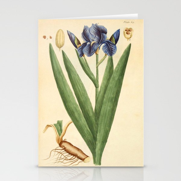 Iris by Elizabeth Blackwell from "A Curious Herbal," 1737 (print benefiting The Nature Conservancy) Stationery Cards