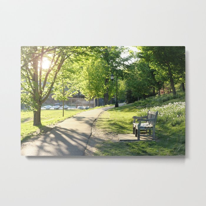 Afternoon Stroll Metal Print