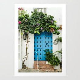 Blue door with Plants in Cartagena Colombia - wooden door - Caribbean vibe Art Print