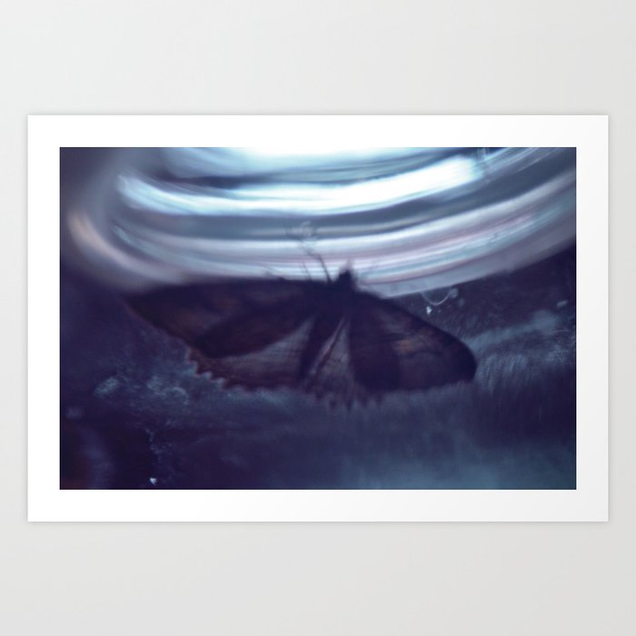 Moth-2 Art Print