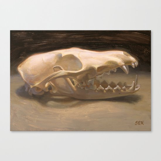Vulpes vulpes Canvas Print
