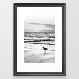 Seagull on the beach | Sunset | Bird | Coast | Nature and landscape photography in black and white Framed Art Print | Black And White, Coast, Coastal, Birdphotography, Bird, Nature, Photo, Sunset, Seagull, Gull 