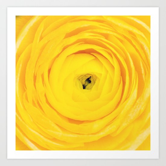 Emerge Art Print