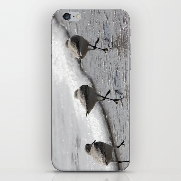 Sandpipers Birds on the Beach iPhone Skin