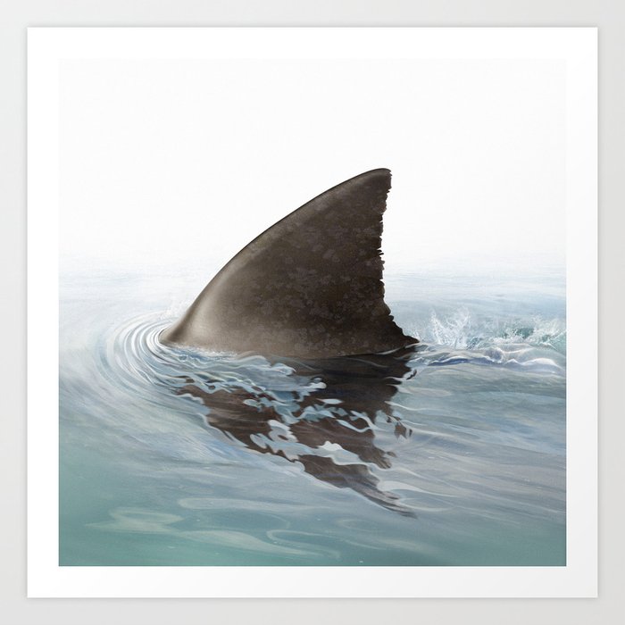 Shark fin Art Print
