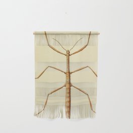 Antique Stick Insect Wall Hanging