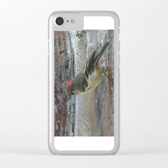 Ruby-Crowned Kinglet At The Fountain Clear iPhone Case