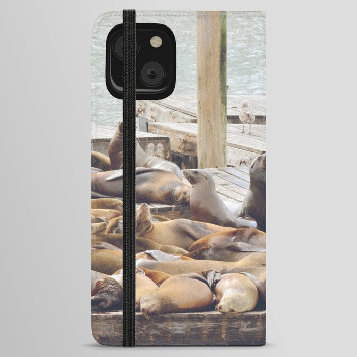 Pier 39 Sea Lions | San Francisco California | Travel Photography USA iPhone Wallet Case