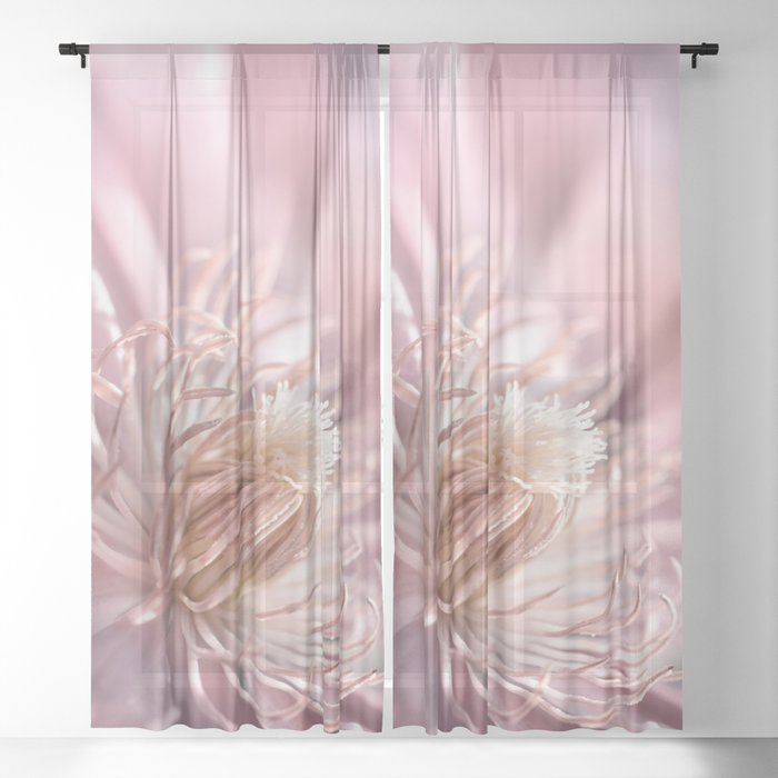 Clematis pink macro 0210 Sheer Curtain