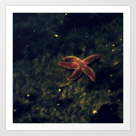 Sea Star Art Print
