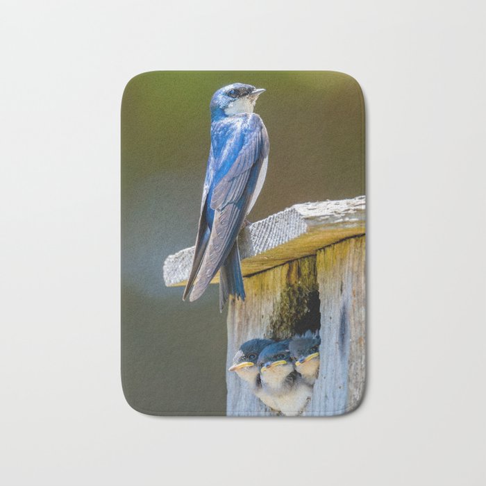 Swallow Family on a Box Nest - square image Bath Mat