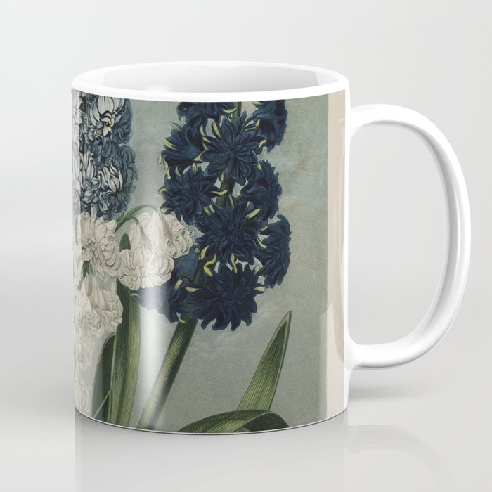 Edwards, S. (1768-1819) - The Temple of Flora 1807 - Hyacinths Coffee Mug