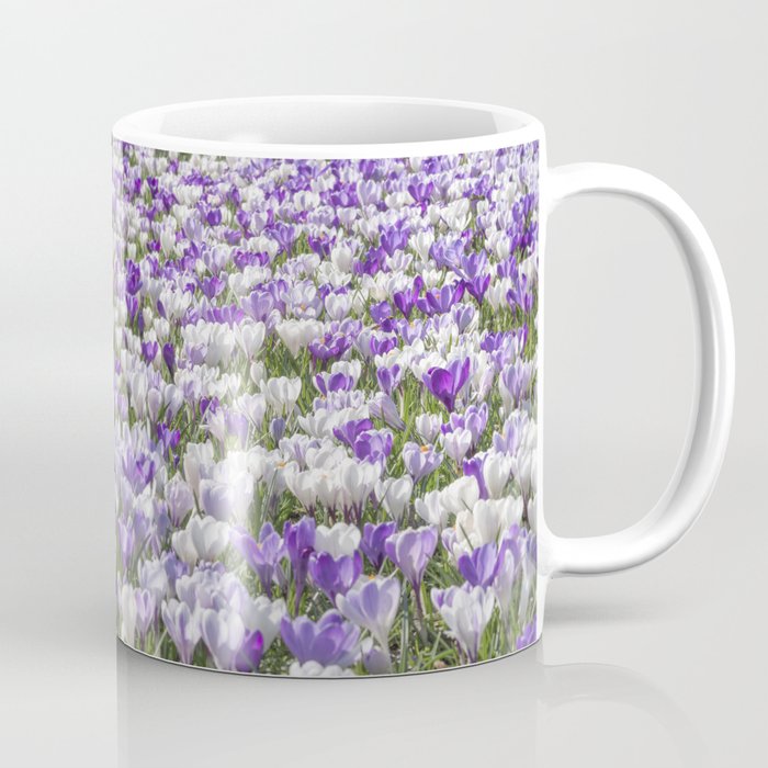 White and purple crocuses art print- dutch spring flowers, veri peri floral nature photography  Coffee Mug