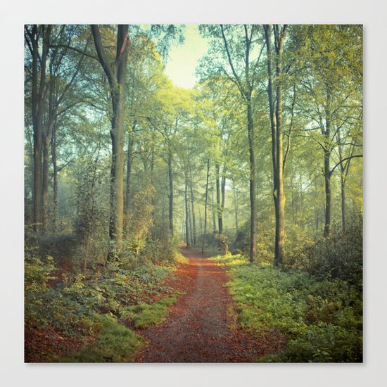 Forest Morning Walk Canvas Print