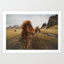 My Little Pony Art Print | Color, Boho, Horse, Iceland, Pony, Horses, Wanderlust, Landscape, Travel, Icelandic 