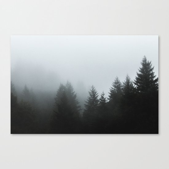 Dark forest mood Canvas Print