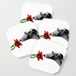 Italian Greyhound smelling flower Coaster